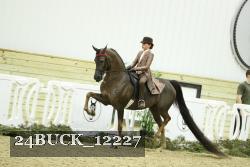 24BUCK_12227 proof