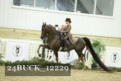 24BUCK_12229 proof
