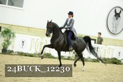 24BUCK_12230 proof