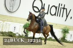 24BUCK_12231 proof