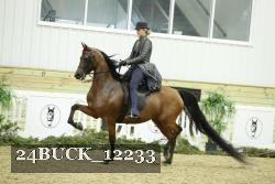 24BUCK_12233 proof