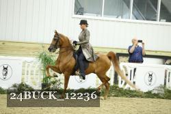 24BUCK_12236 proof