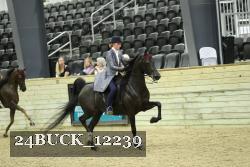 24BUCK_12239 proof