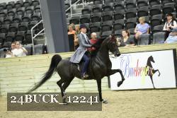 24BUCK_12241 proof