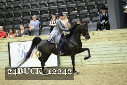 24BUCK_12242 proof