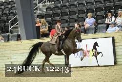 24BUCK_12243 proof