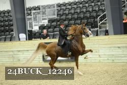24BUCK_12246 proof