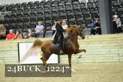 24BUCK_12247 proof