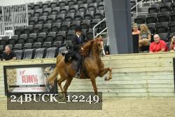 24BUCK_12249 proof