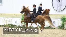 24BUCK_12253 proof