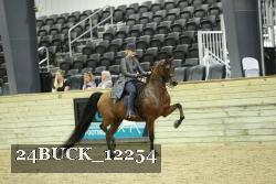 24BUCK_12254 proof
