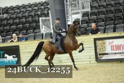 24BUCK_12255 proof
