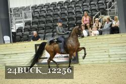 24BUCK_12256 proof