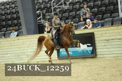 24BUCK_12259 proof