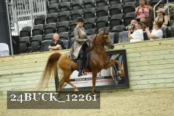 24BUCK_12261 proof