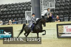 24BUCK_12265 proof