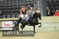24BUCK_12266 proof