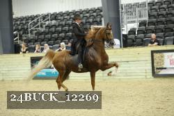 24BUCK_12269 proof