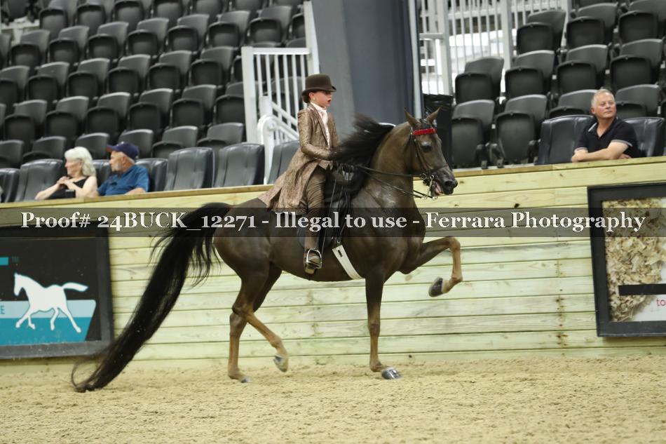 Proof 24BUCK_12271