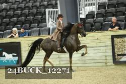 24BUCK_12271 proof