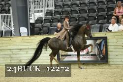 24BUCK_12272 proof