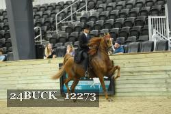 24BUCK_12273 proof