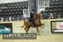 24BUCK_12274 proof