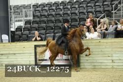 24BUCK_12275 proof