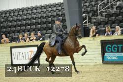 24BUCK_12278 proof