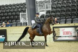 24BUCK_12279 proof