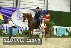 24BUCK_12285 proof