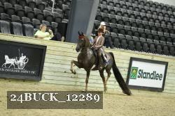 24BUCK_12289 proof