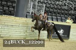24BUCK_12290 proof