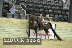 24BUCK_12291 proof