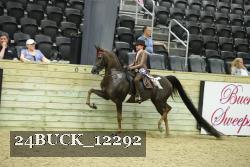 24BUCK_12292 proof