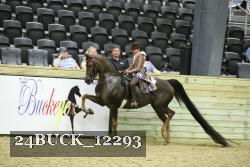 24BUCK_12293 proof