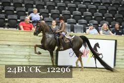 24BUCK_12296 proof