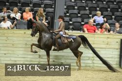 24BUCK_12297 proof