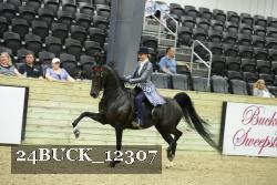 24BUCK_12307 proof
