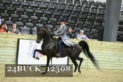 24BUCK_12308 proof