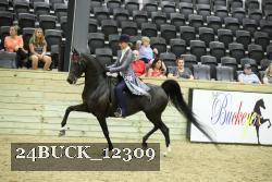 24BUCK_12309 proof