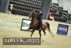 24BUCK_12313 proof