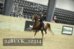 24BUCK_12314 proof