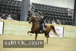24BUCK_12316 proof
