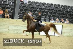 24BUCK_12319 proof