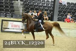 24BUCK_12320 proof