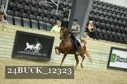 24BUCK_12323 proof
