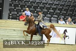 24BUCK_12328 proof