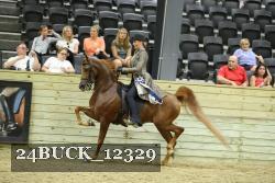 24BUCK_12329 proof