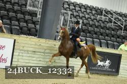 24BUCK_12332 proof